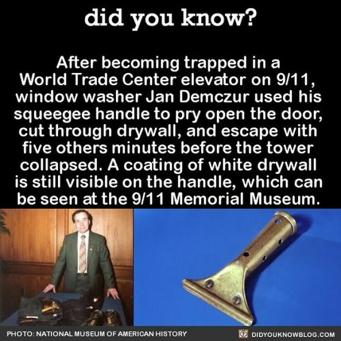 This Instagram Account Shares 50 Interesting And Fact-Checked Things You Might Not Know About The World