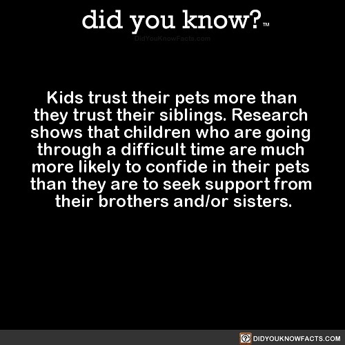 This Instagram Account Shares 50 Interesting And Fact-Checked Things You Might Not Know About The World