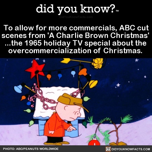 This Instagram Account Shares 50 Interesting And Fact-Checked Things You Might Not Know About The World