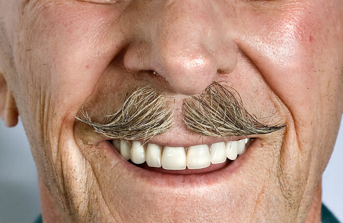 Lawyers Who Write Wills Are Sharing The 40 Weirdest And Craziest Requests Their Clients Have Made Lawyers Who Write Wills Are Sharing The 40 Weirdest And Craziest Requests Their Clients Have Made