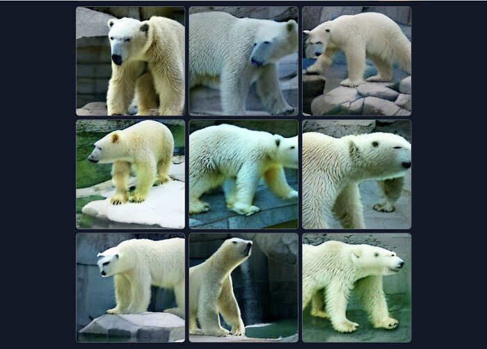 Hey Pandas, Type Your Username Into An AI Image Generator And Share The Results (Closed)