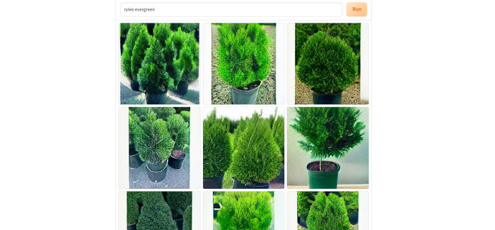 Hey Pandas, Type Your Username Into An AI Image Generator And Share The Results (Closed)