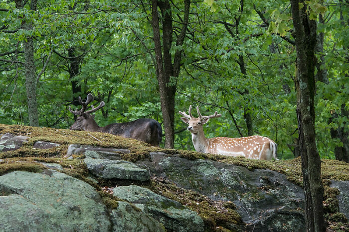 30 Of The Biggest No-Nos When Visiting These Countries, As Shared By Folks In This Online Group 30 Of The Biggest No-Nos When Visiting These Countries, As Shared By Folks In This Online Group
