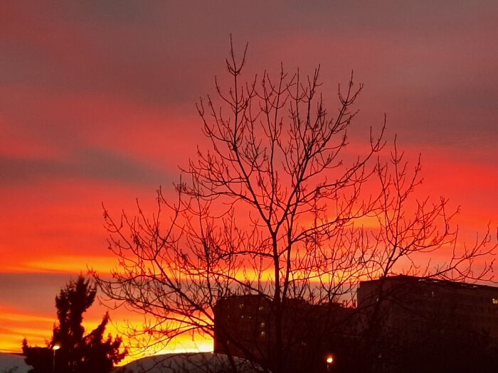 Hey Pandas, Post Some Of The Wild Weather Pics You’ve Taken Hey Pandas, Post Some Of The Wild Weather Pics You’ve Taken