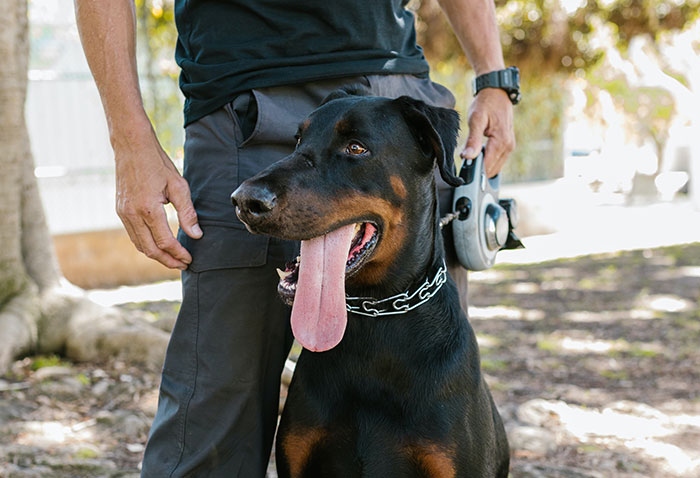 Recruiters Reveal How Job Candidates Instantly Lost Any Chances Of Getting The Job (30 Answers) Recruiters Reveal How Job Candidates Instantly Lost Any Chances Of Getting The Job (30 Answers)