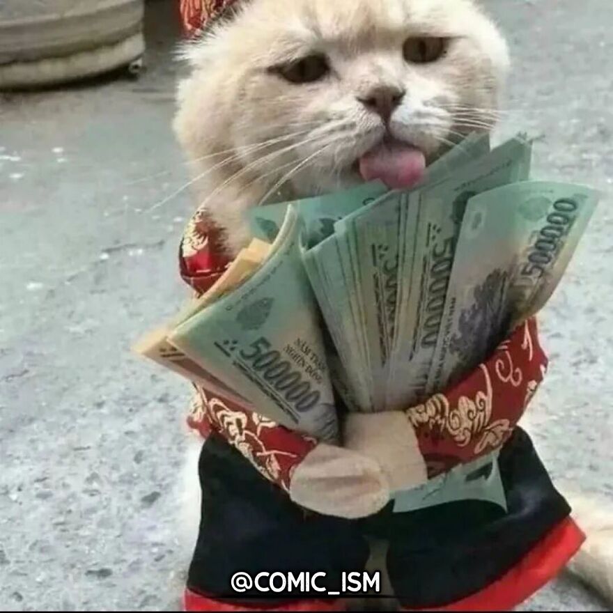 31 Absolutely Adorable And Hilarious Cats That Were Sneakily Caught On Camera And Eventually End Up On ‘Comicism’ Instagram Page 31 Absolutely Adorable And Hilarious Cats That Were Sneakily Caught On Camera And Eventually End Up On ‘Comicism’ Instagram Page