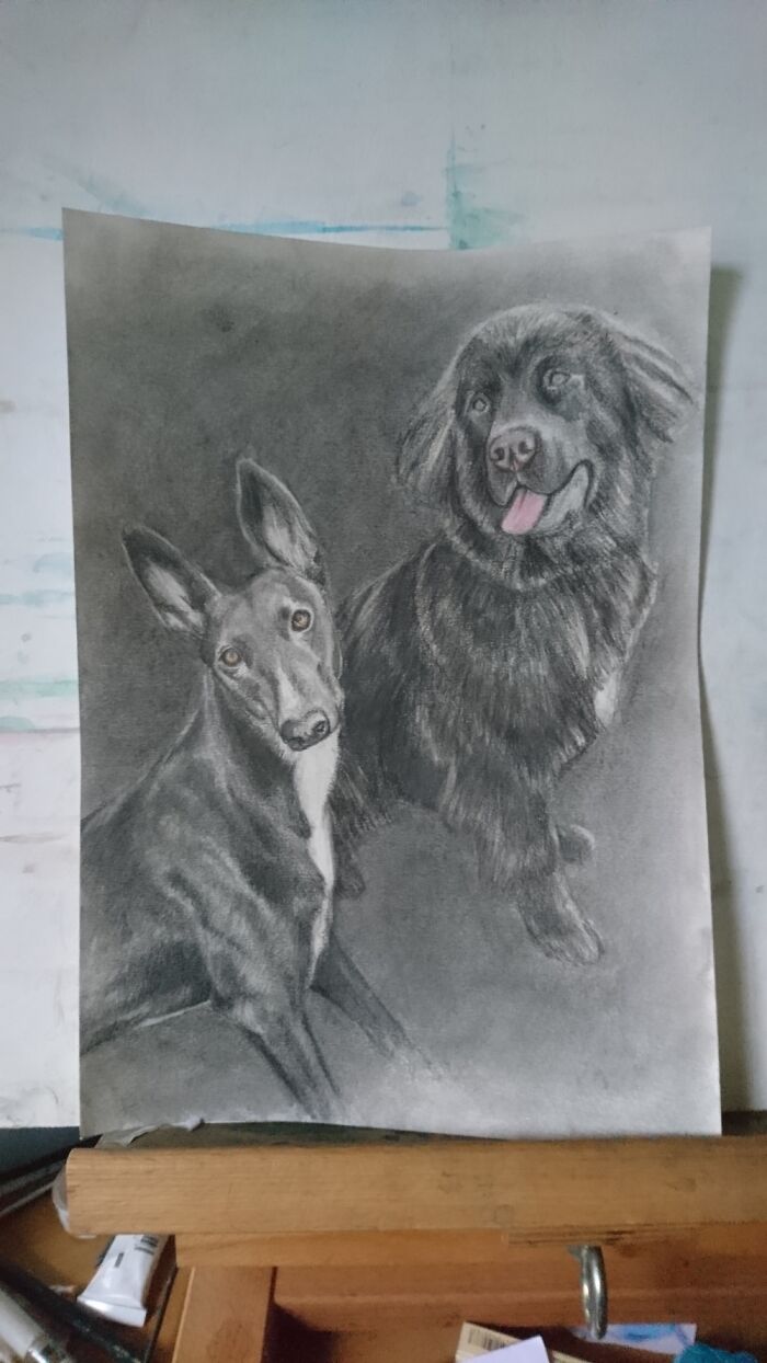 Hey Pandas, Show Me Something You’re Working On (Closed)