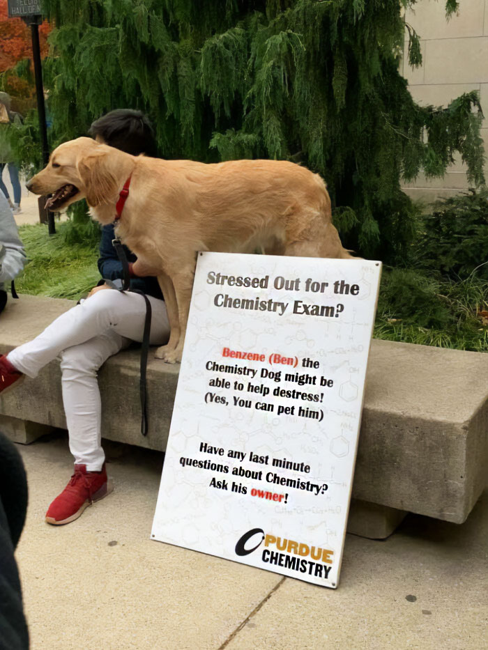 This Page Is Posting Science Memes And Here Are 50 Of The Best Ones This Page Is Posting Science Memes And Here Are 50 Of The Best Ones