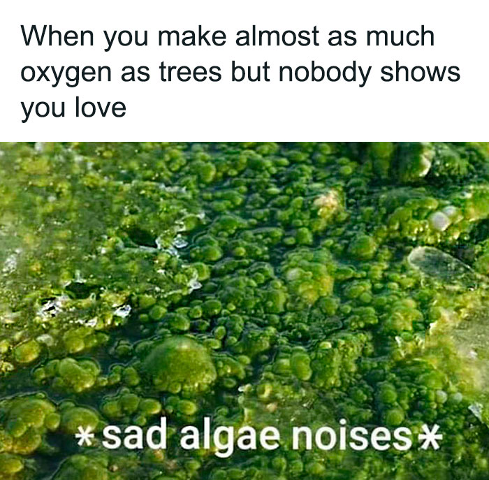 This Page Is Posting Science Memes And Here Are 50 Of The Best Ones This Page Is Posting Science Memes And Here Are 50 Of The Best Ones