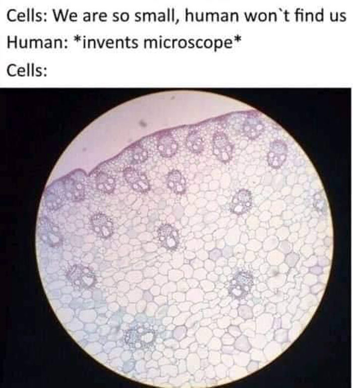 This Page Is Posting Science Memes And Here Are 50 Of The Best Ones This Page Is Posting Science Memes And Here Are 50 Of The Best Ones