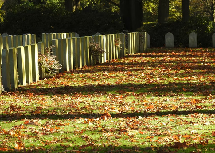 50 ‘Weird Facts’ About The World That Might Give You A Fresh Perspective