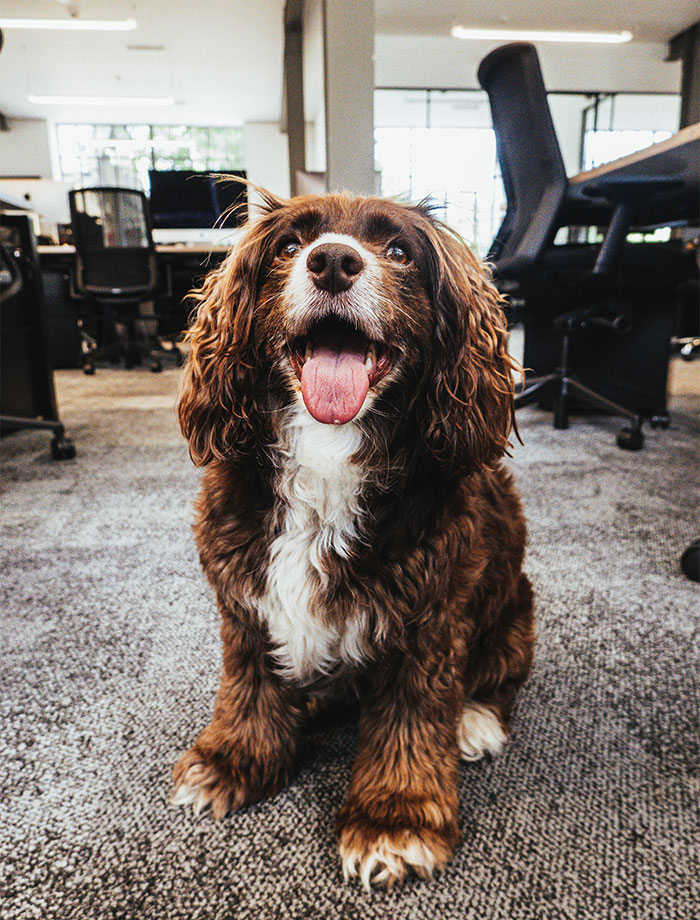 Someone Asked, “What Rule Was Changed Because Of One Stupid Person?”, 40 Delivered Someone Asked, “What Rule Was Changed Because Of One Stupid Person?”, 40 Delivered