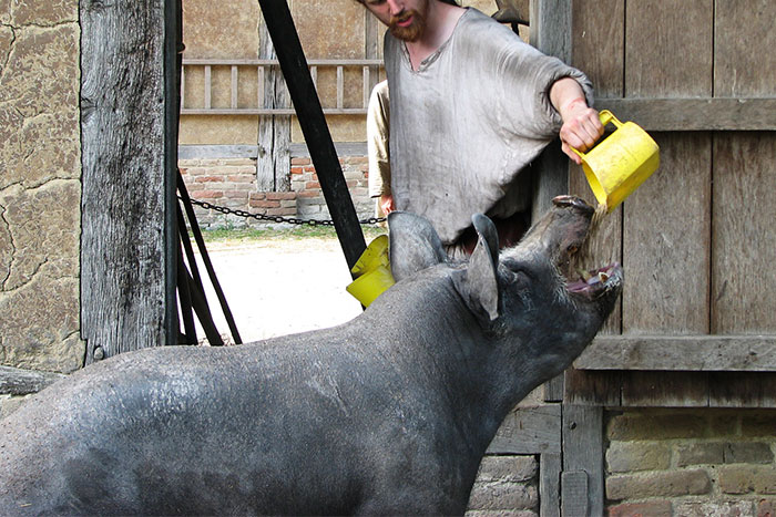 Someone Asked, “What Rule Was Changed Because Of One Stupid Person?”, 40 Delivered Someone Asked, “What Rule Was Changed Because Of One Stupid Person?”, 40 Delivered