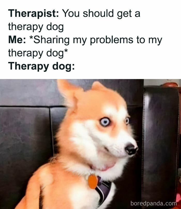 Introverts In This Online Group Are Sharing Painfully-Hilarious Memes About Being Introverts, Here Are 50 Of The Funniest Ones Introverts In This Online Group Are Sharing Painfully-Hilarious Memes About Being Introverts, Here Are 50 Of The Funniest Ones