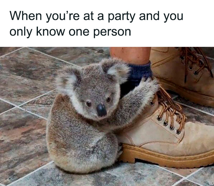 Introverts In This Online Group Are Sharing Painfully-Hilarious Memes About Being Introverts, Here Are 50 Of The Funniest Ones Introverts In This Online Group Are Sharing Painfully-Hilarious Memes About Being Introverts, Here Are 50 Of The Funniest Ones