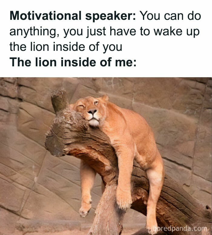 Introverts In This Online Group Are Sharing Painfully-Hilarious Memes About Being Introverts, Here Are 50 Of The Funniest Ones Introverts In This Online Group Are Sharing Painfully-Hilarious Memes About Being Introverts, Here Are 50 Of The Funniest Ones