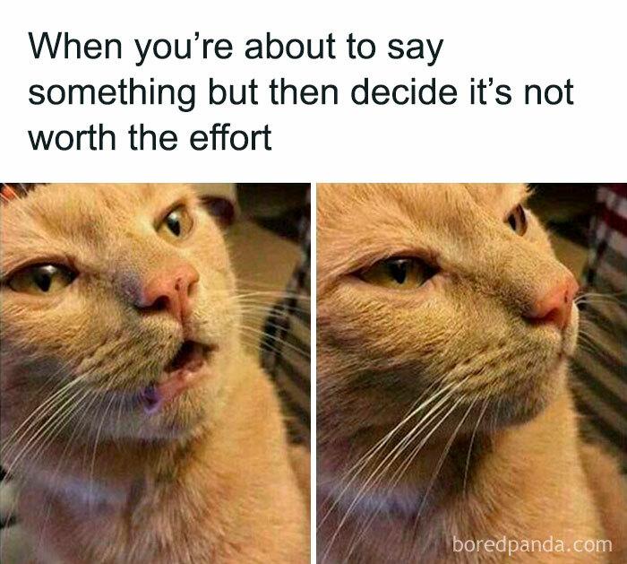 Introverts In This Online Group Are Sharing Painfully-Hilarious Memes About Being Introverts, Here Are 50 Of The Funniest Ones Introverts In This Online Group Are Sharing Painfully-Hilarious Memes About Being Introverts, Here Are 50 Of The Funniest Ones