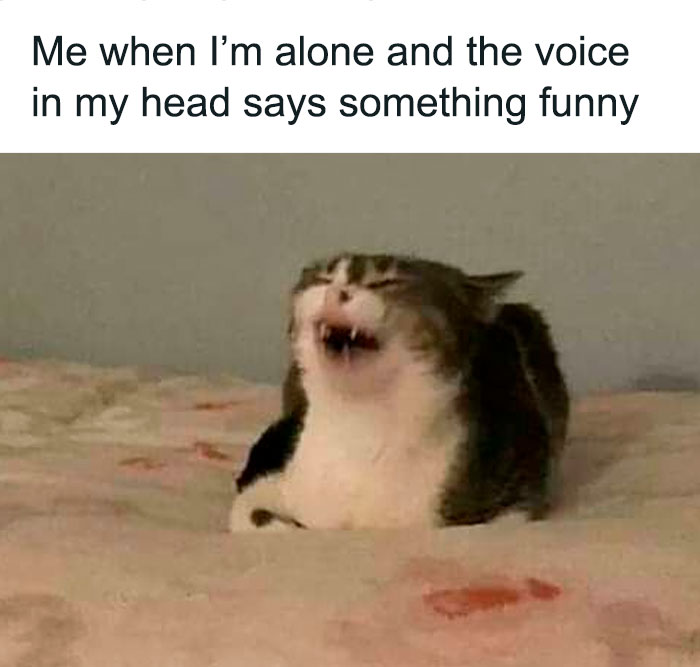 Introverts In This Online Group Are Sharing Painfully-Hilarious Memes About Being Introverts, Here Are 50 Of The Funniest Ones Introverts In This Online Group Are Sharing Painfully-Hilarious Memes About Being Introverts, Here Are 50 Of The Funniest Ones