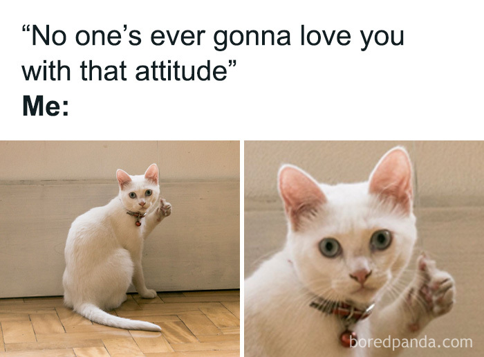 Introverts In This Online Group Are Sharing Painfully-Hilarious Memes About Being Introverts, Here Are 50 Of The Funniest Ones Introverts In This Online Group Are Sharing Painfully-Hilarious Memes About Being Introverts, Here Are 50 Of The Funniest Ones