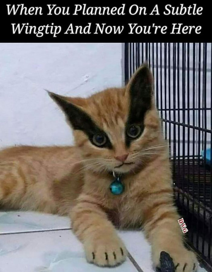 30 Memes And Posts That Sum Up What Kind Of People Goths Are, Shared On This Facebook Page 30 Memes And Posts That Sum Up What Kind Of People Goths Are, Shared On This Facebook Page