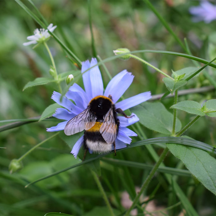 116 Weird Facts That You Just Have To Know 116 Weird Facts That You Just Have To Know