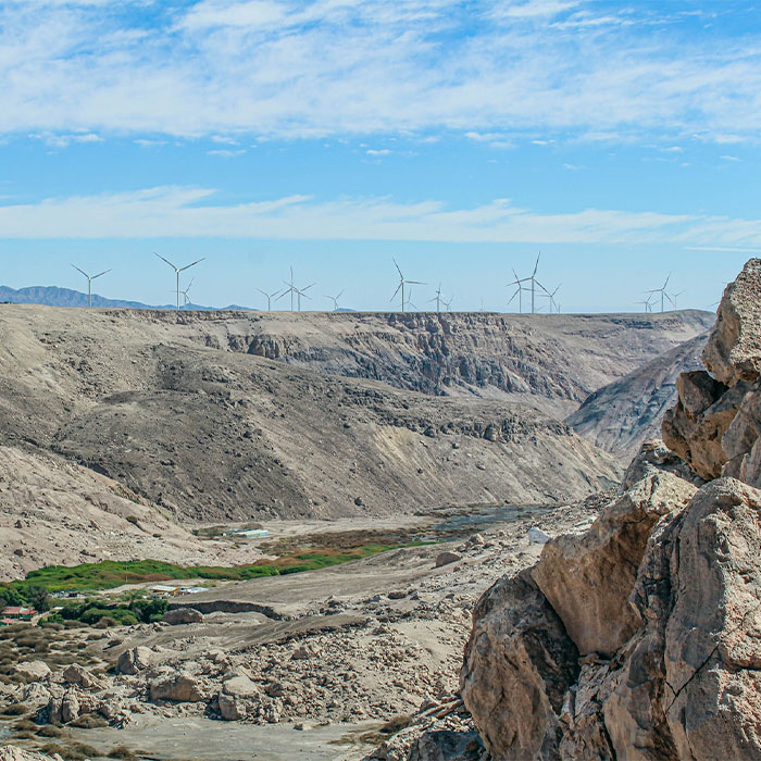 116 Weird Facts That You Just Have To Know 116 Weird Facts That You Just Have To Know