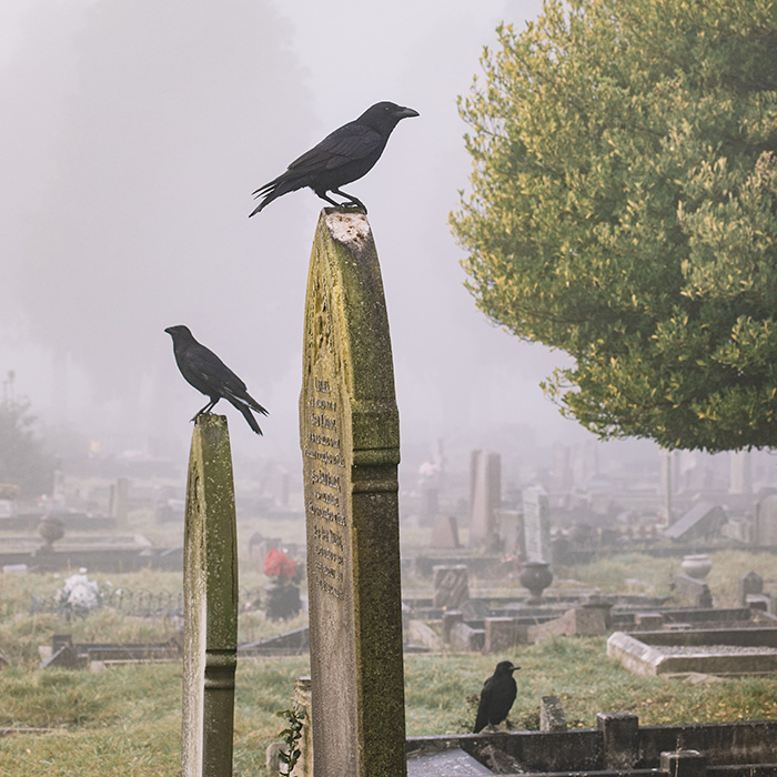 116 Weird Facts That You Just Have To Know 116 Weird Facts That You Just Have To Know