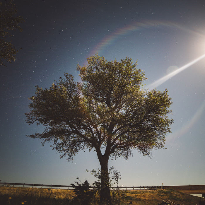 116 Weird Facts That You Just Have To Know 116 Weird Facts That You Just Have To Know