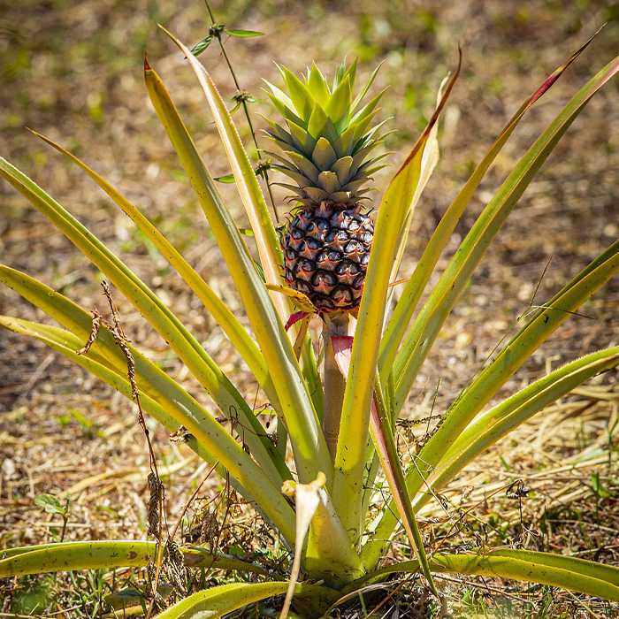 116 Weird Facts That You Just Have To Know 116 Weird Facts That You Just Have To Know