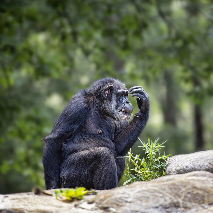 116 Weird Facts That You Just Have To Know 116 Weird Facts That You Just Have To Know