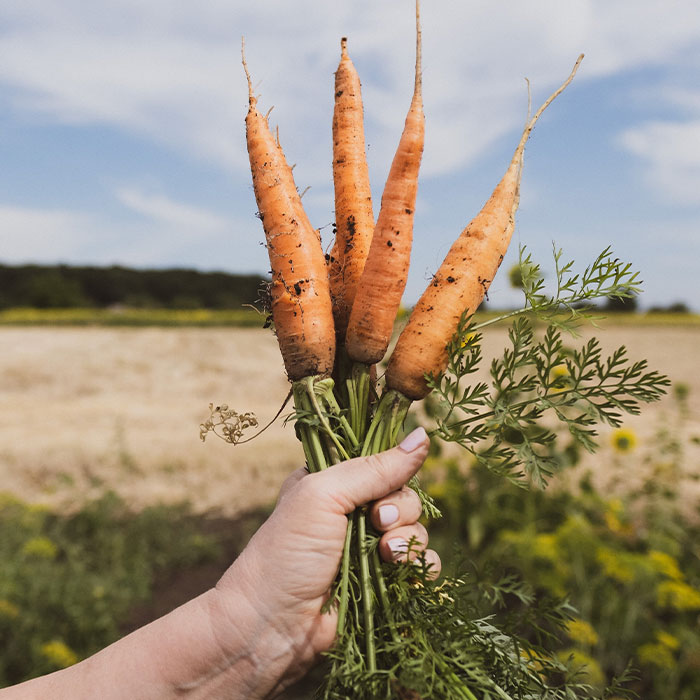 116 Weird Facts That You Just Have To Know 116 Weird Facts That You Just Have To Know