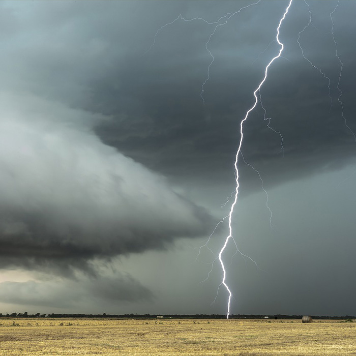 116 Weird Facts That You Just Have To Know 116 Weird Facts That You Just Have To Know