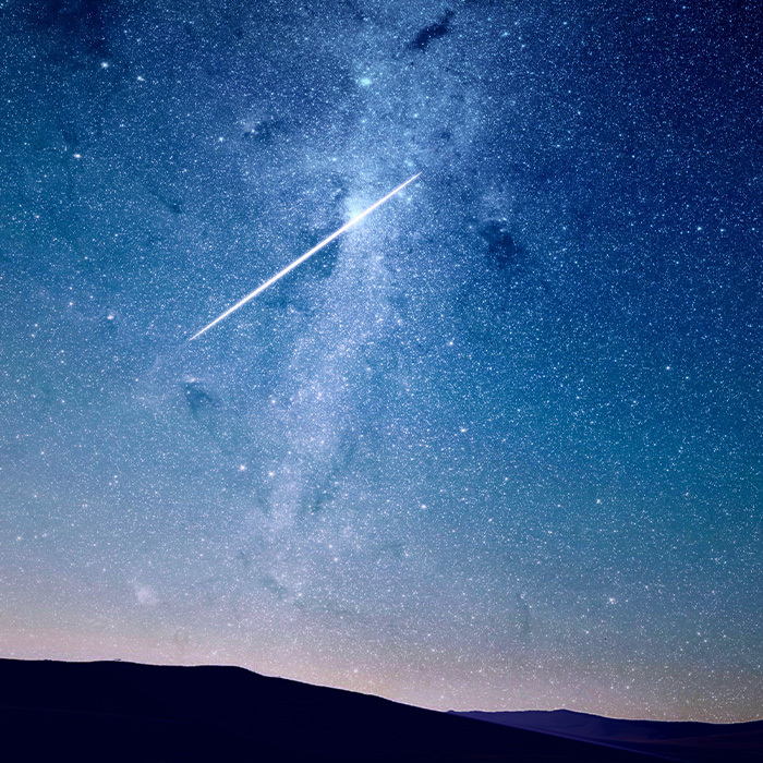 116 Weird Facts That You Just Have To Know 116 Weird Facts That You Just Have To Know