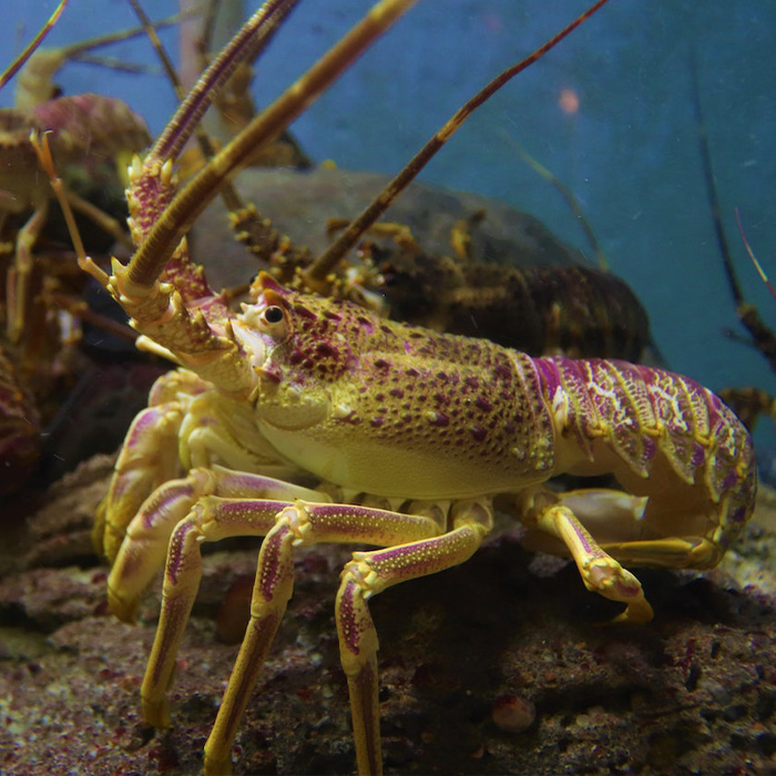 116 Weird Facts That You Just Have To Know 116 Weird Facts That You Just Have To Know