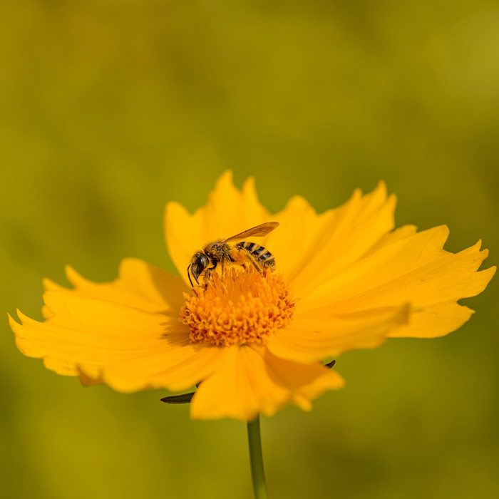 116 Weird Facts That You Just Have To Know 116 Weird Facts That You Just Have To Know