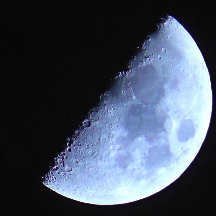 116 Weird Facts That You Just Have To Know 116 Weird Facts That You Just Have To Know