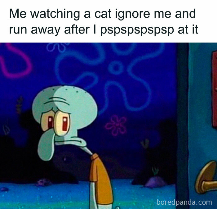 50 of the Best Memes of All Time That Are Icons of Internet Culture 50 of the Best Memes of All Time That Are Icons of Internet Culture