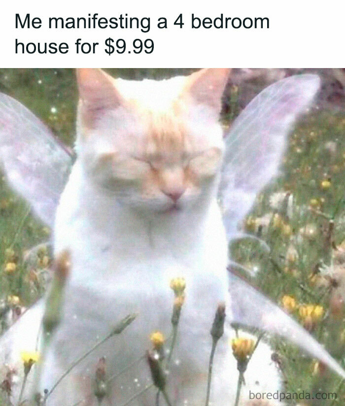 50 of the Best Memes of All Time That Are Icons of Internet Culture 50 of the Best Memes of All Time That Are Icons of Internet Culture