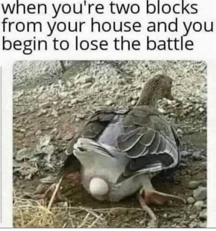 50 of the Best Memes of All Time That Are Icons of Internet Culture 50 of the Best Memes of All Time That Are Icons of Internet Culture