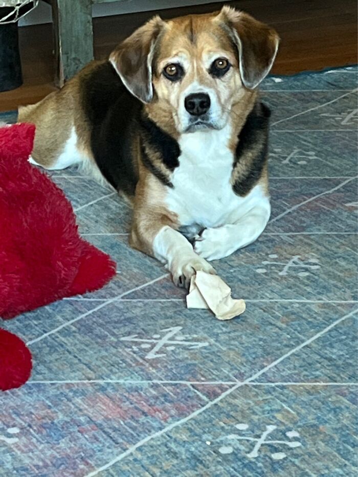 Hey Pandas! Post A Picture Of What You Are Doing Right Now (Closed) Hey Pandas! Post A Picture Of What You Are Doing Right Now (Closed)