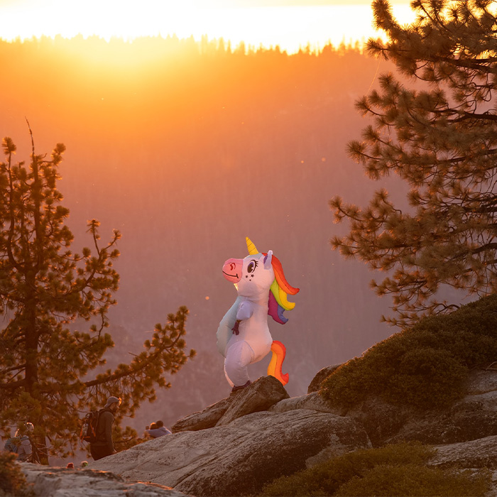 Random Facts That Will Make You Say “Wait, What?”