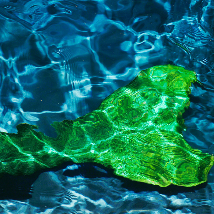 Random Facts That Will Make You Say “Wait, What?”