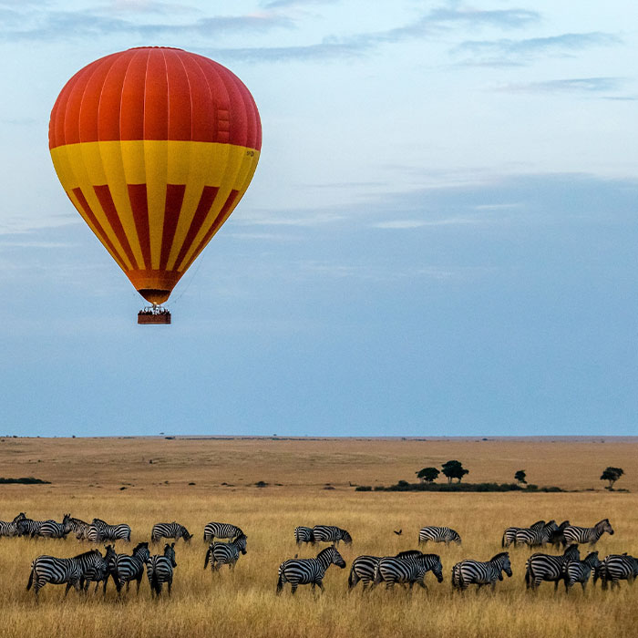 Random Facts That Will Make You Say “Wait, What?”