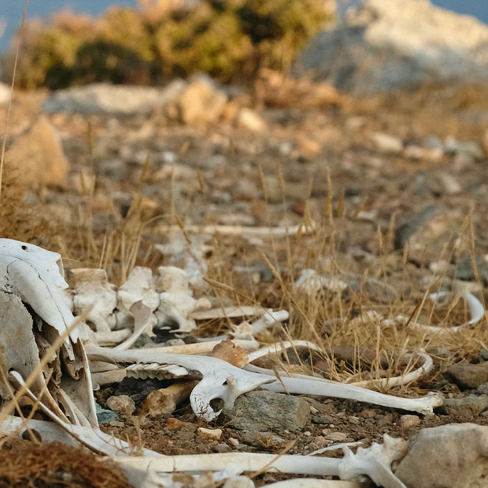 Random Facts That Will Make You Say “Wait, What?”