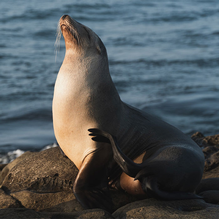 Random Facts That Will Make You Say “Wait, What?”