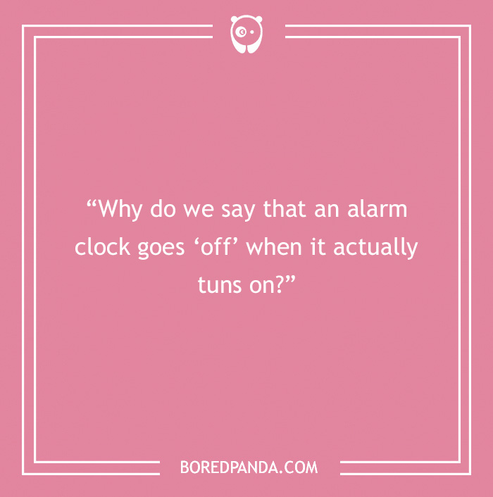 The Most Stupid Questions to Make You Laugh and Think The Most Stupid Questions to Make You Laugh and Think