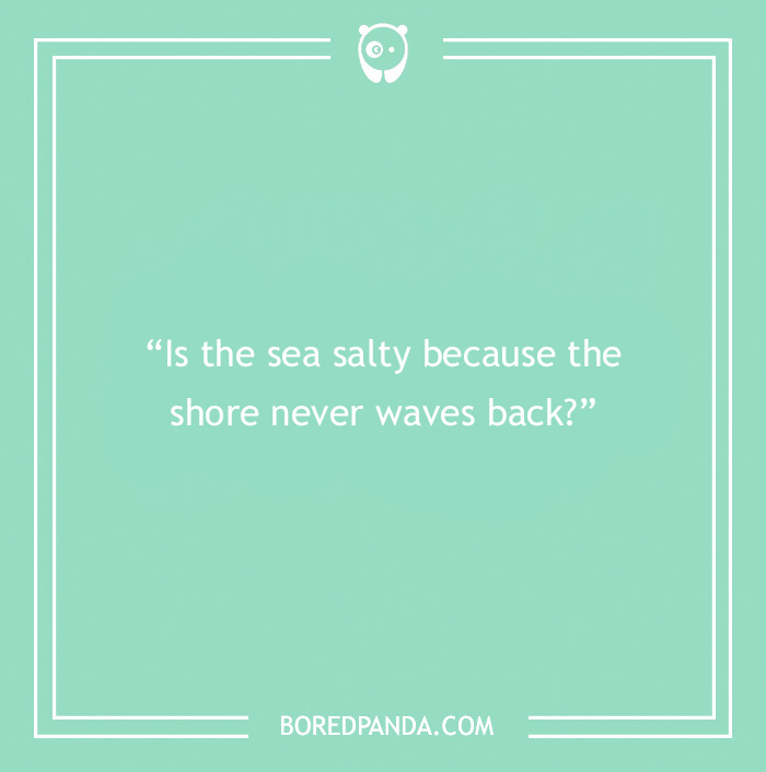 The Most Stupid Questions to Make You Laugh and Think The Most Stupid Questions to Make You Laugh and Think