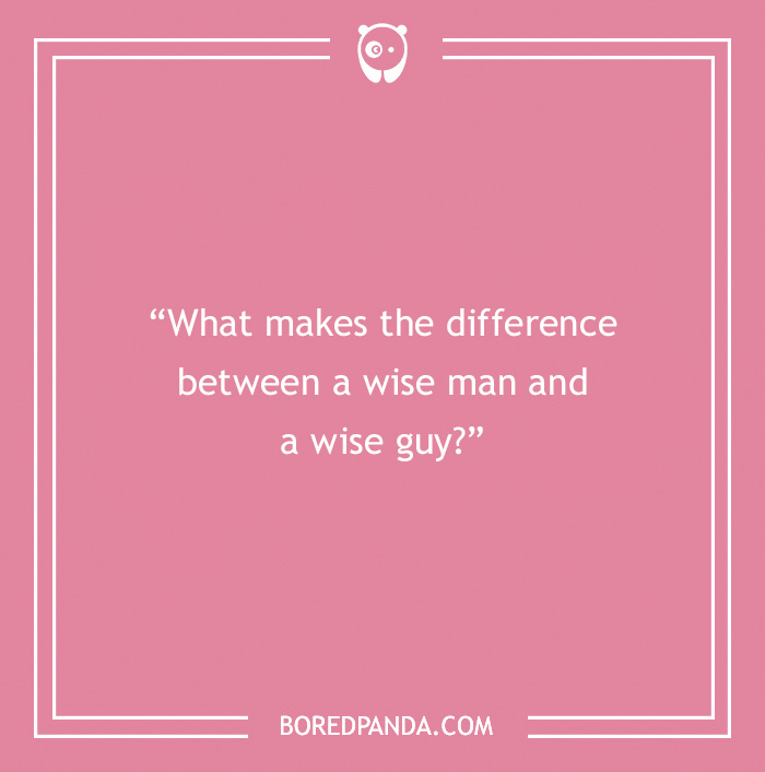 The Most Stupid Questions to Make You Laugh and Think The Most Stupid Questions to Make You Laugh and Think