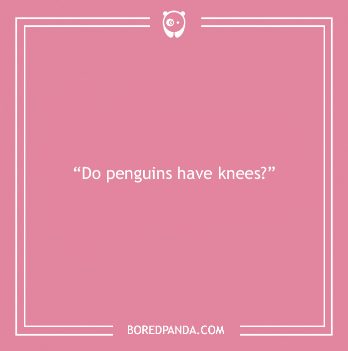 The Most Stupid Questions to Make You Laugh and Think The Most Stupid Questions to Make You Laugh and Think