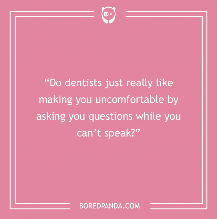 The Most Stupid Questions to Make You Laugh and Think The Most Stupid Questions to Make You Laugh and Think